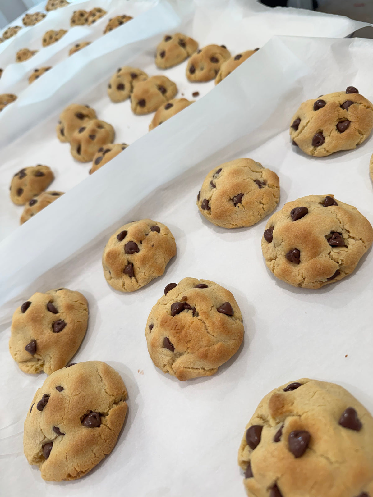 Cookies for a Cause